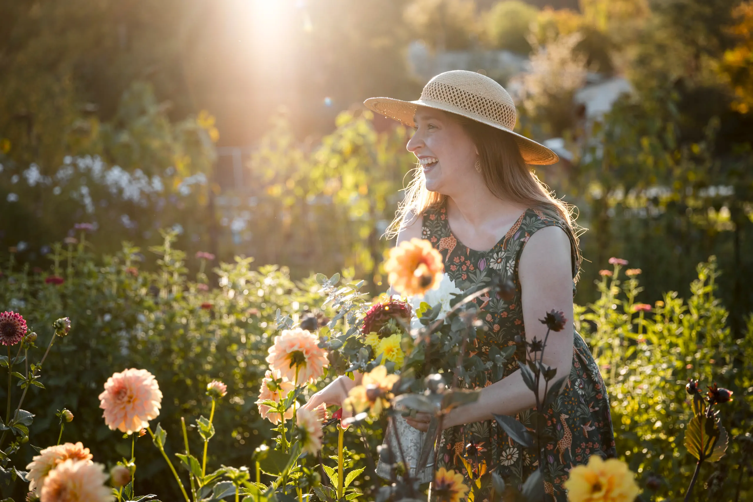 Photo from General gallery