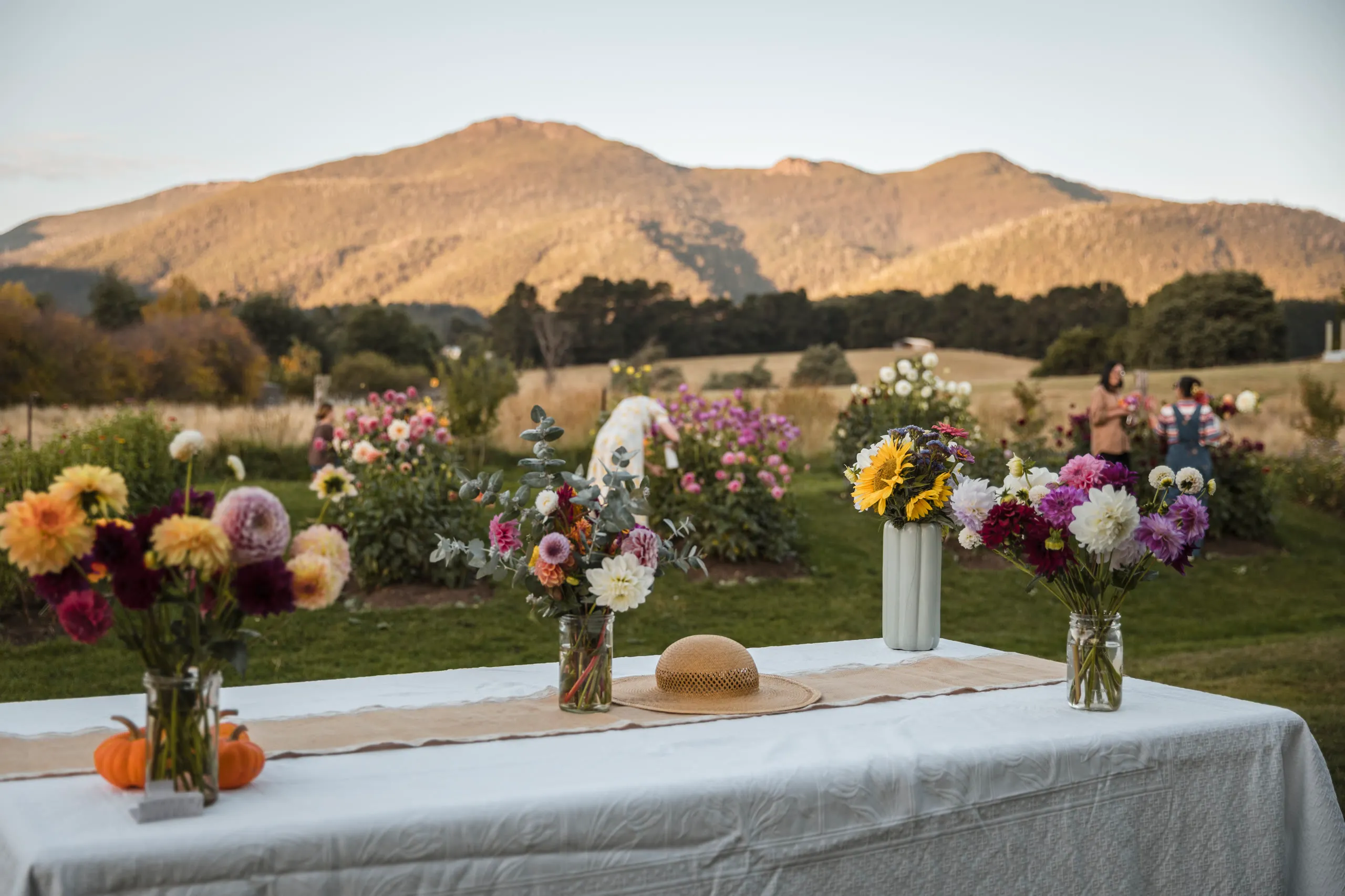 Photo from Private Booking gallery