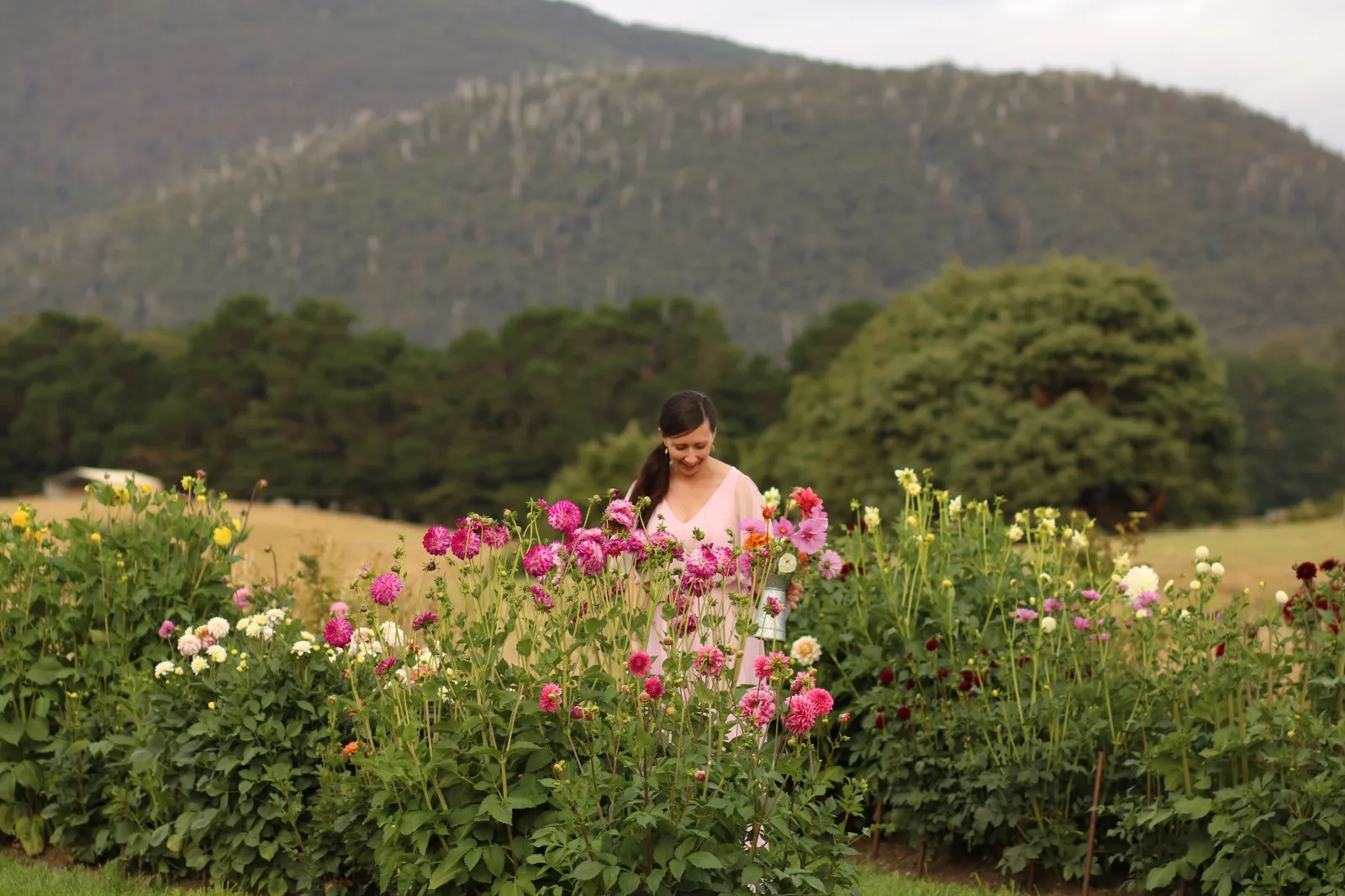 Photo from Picking gallery