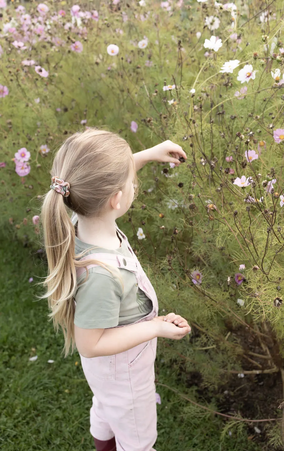 Working in the garden