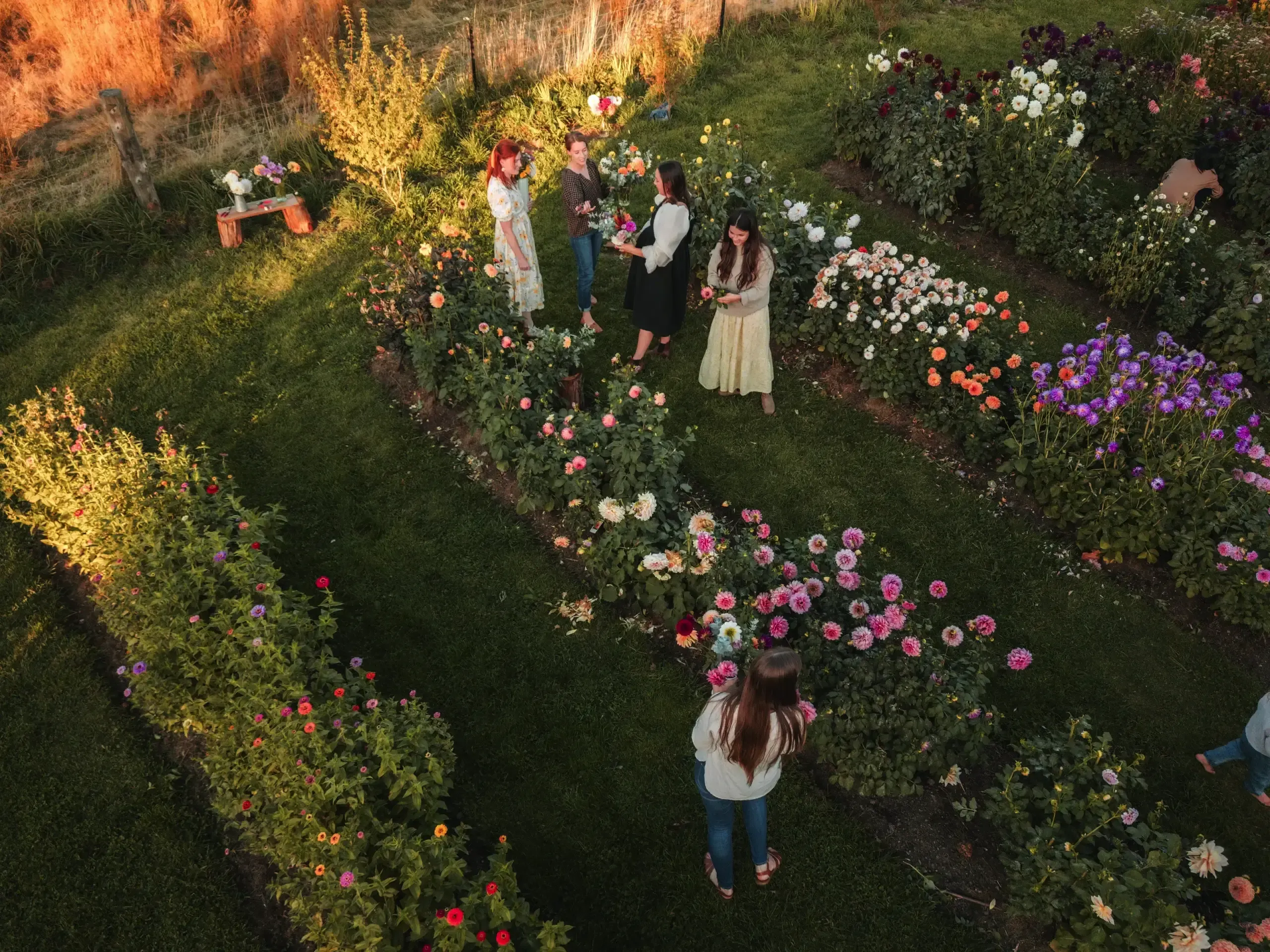 Women picking flowers at the Huon Valley flower farm, Mountain River Flower Patch