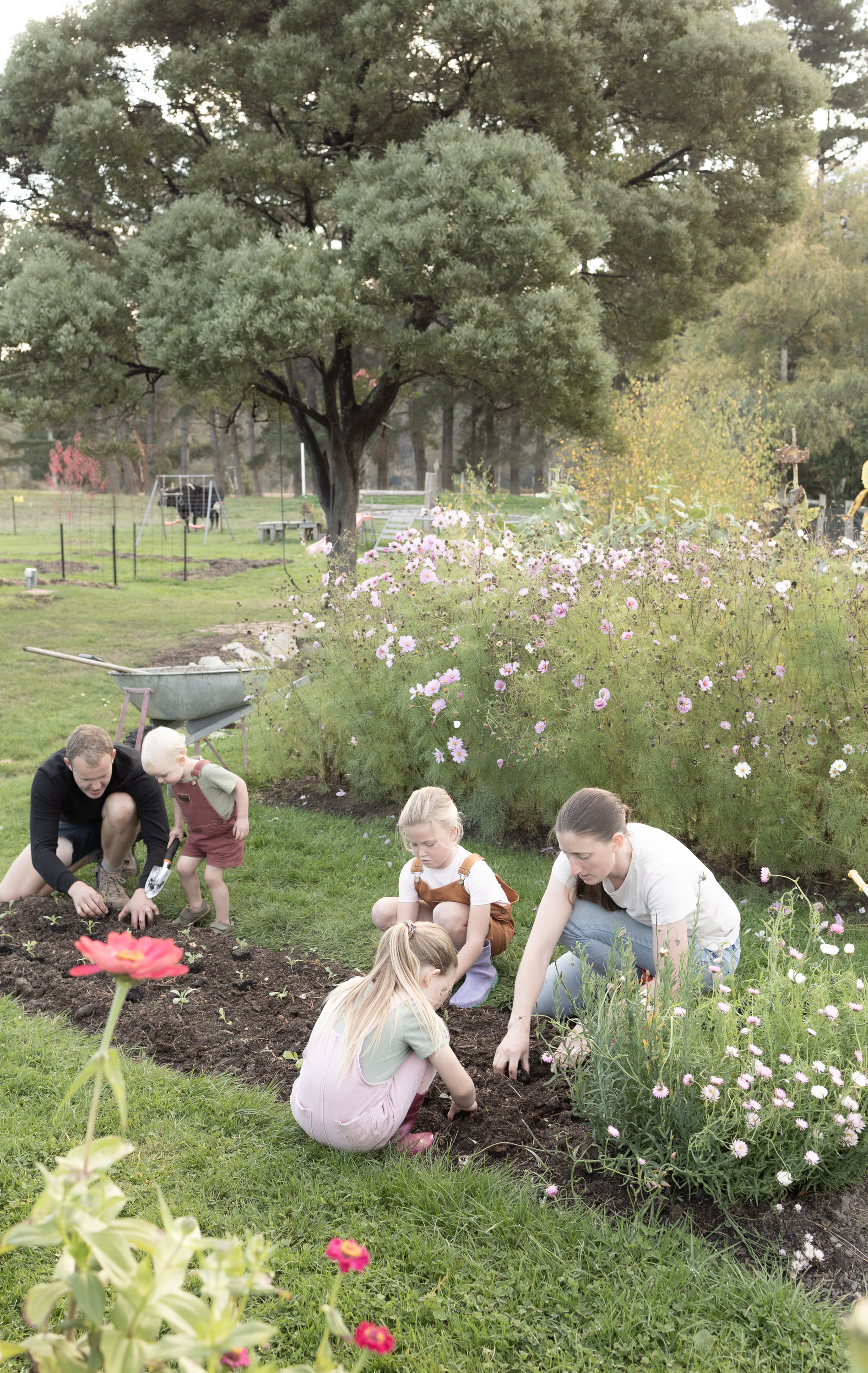 Photo by Hello Valentine