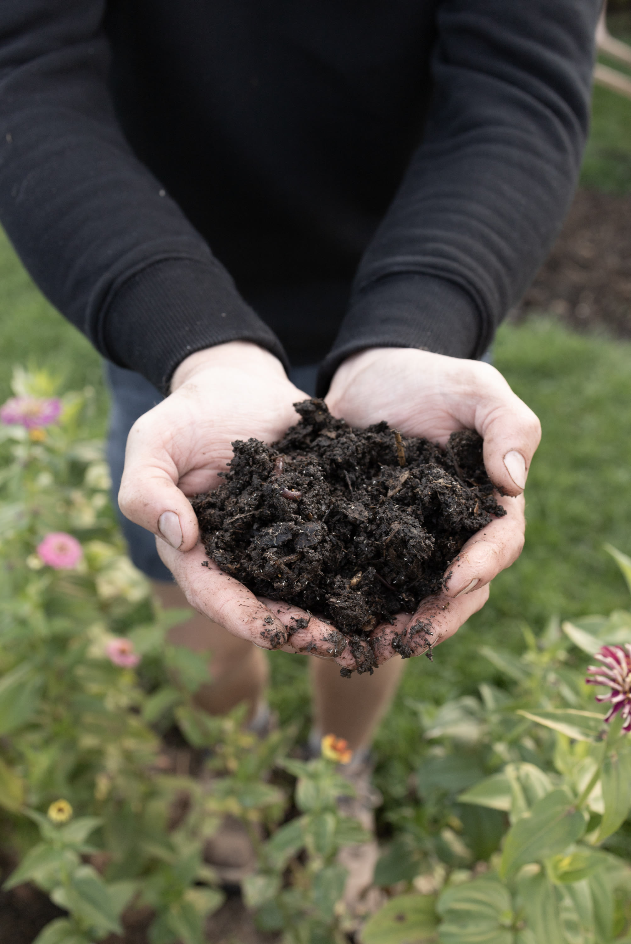 Photo by Hello Valentine