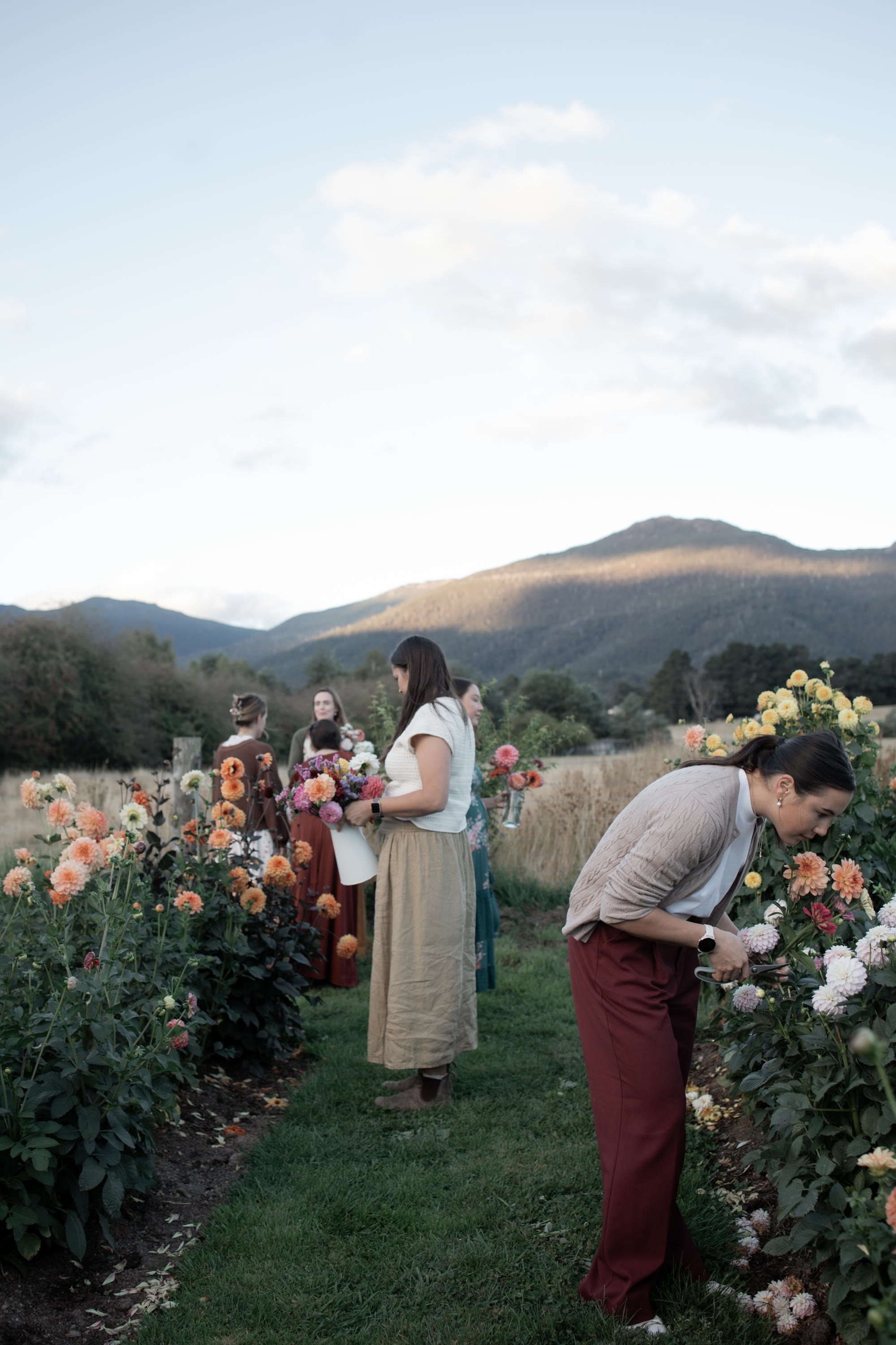 Photo by Hello Valentine