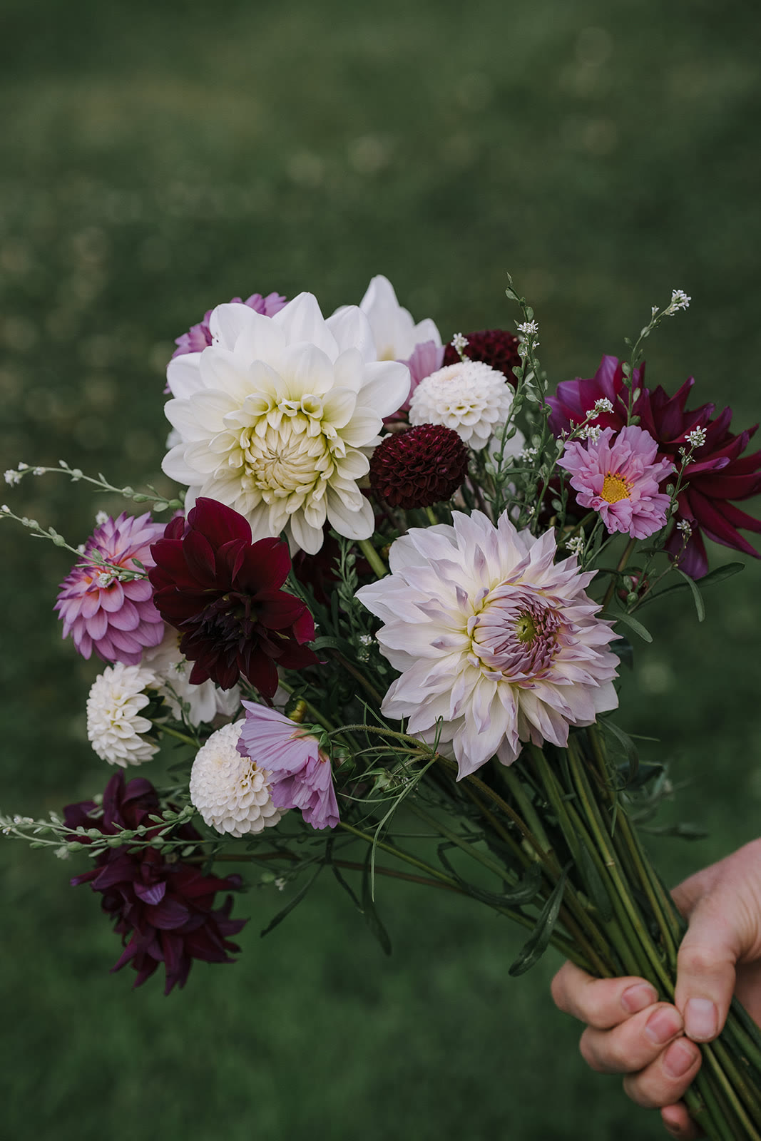 Photo by Jacinda Hochman Co