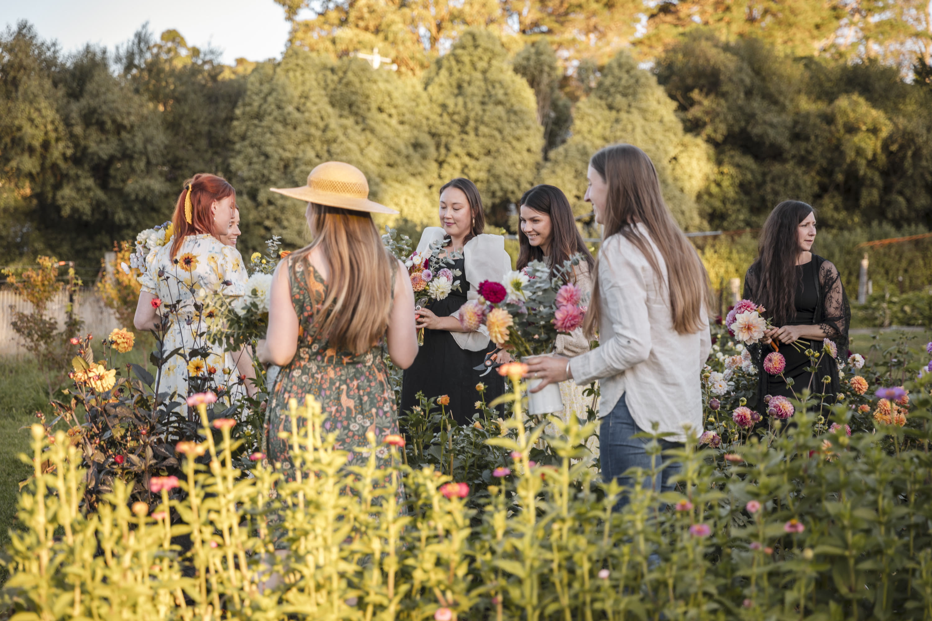 Photo by Mark Allan Photography