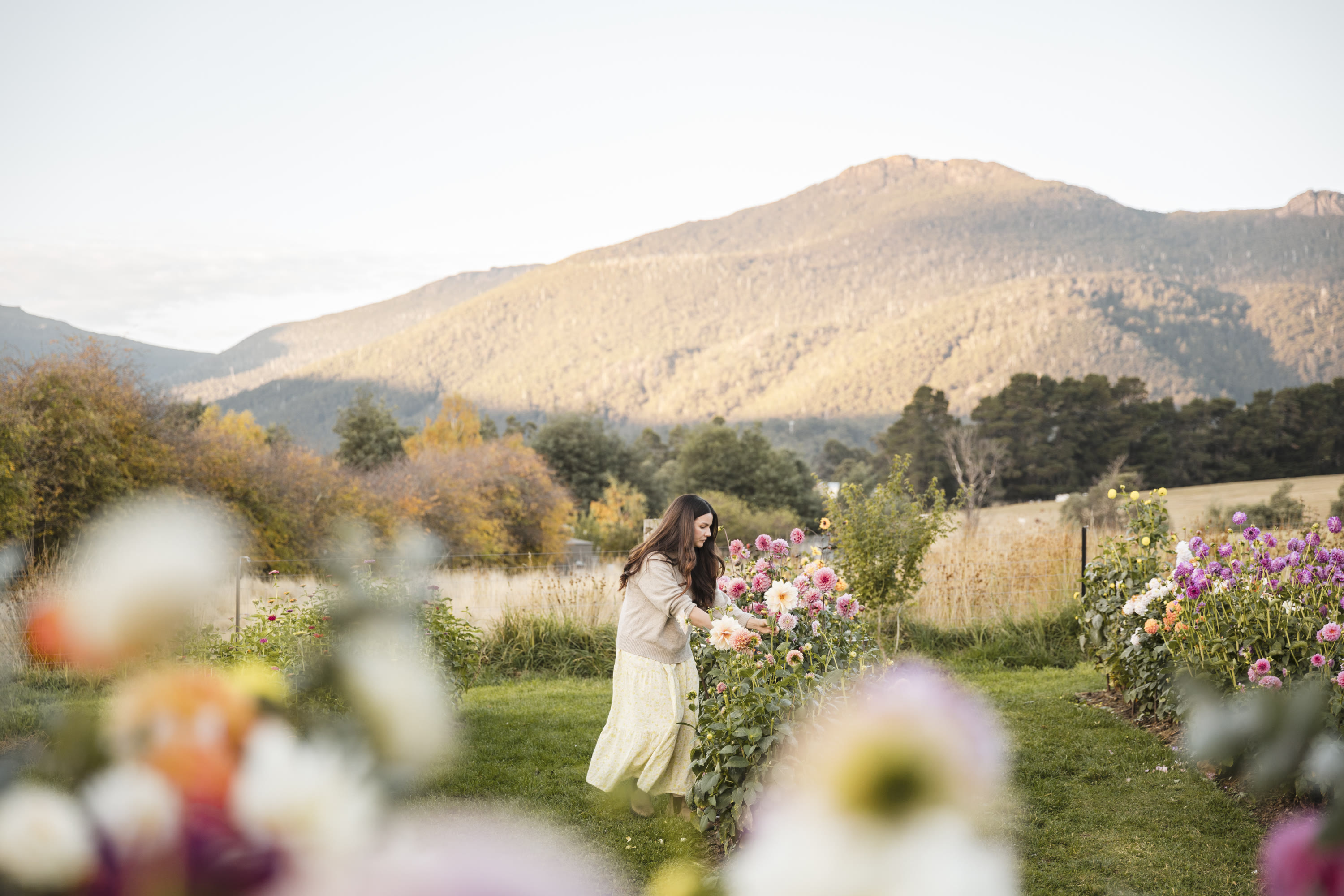 Photo by Mark Allan Photography