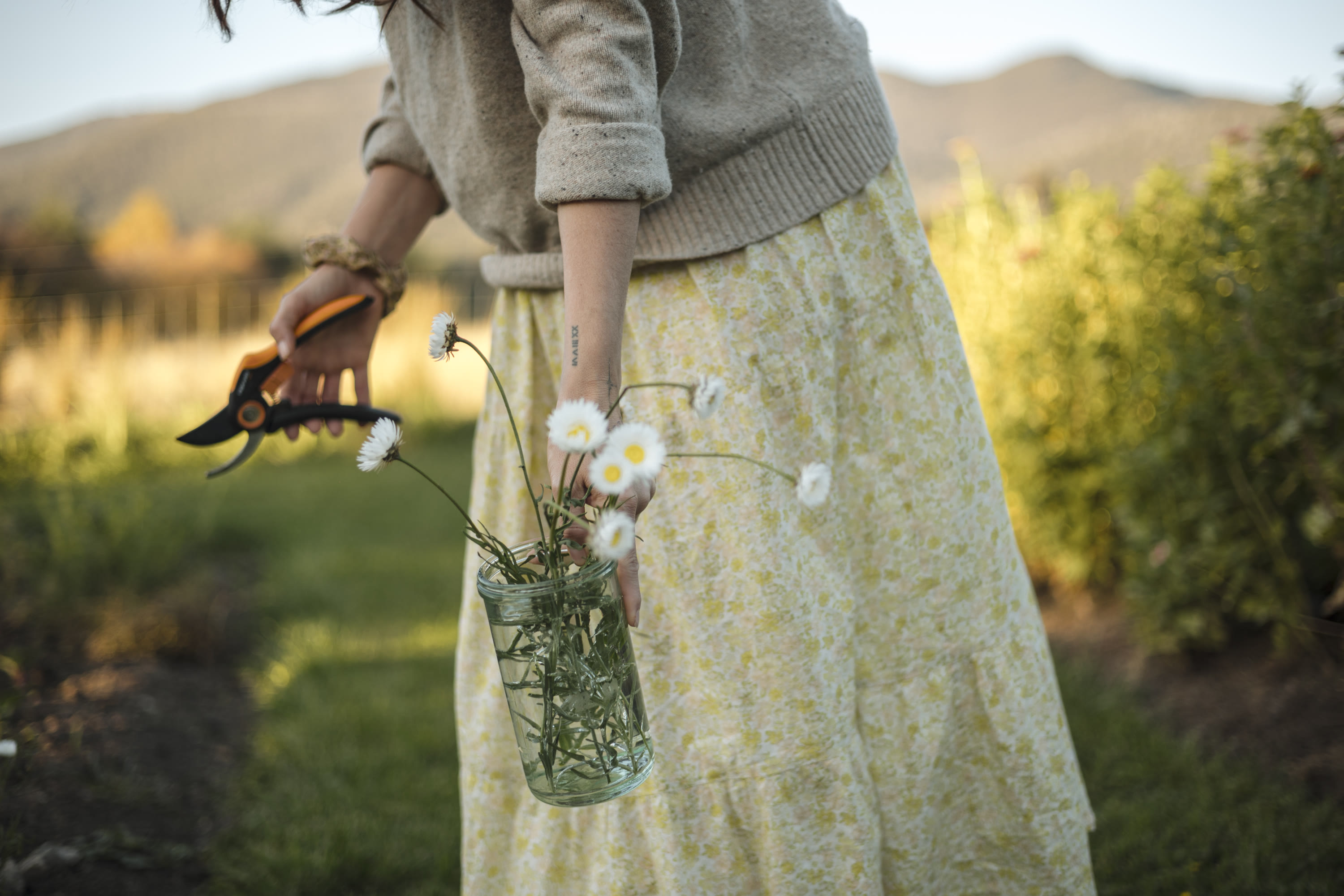 Photo by Mark Allan Photography