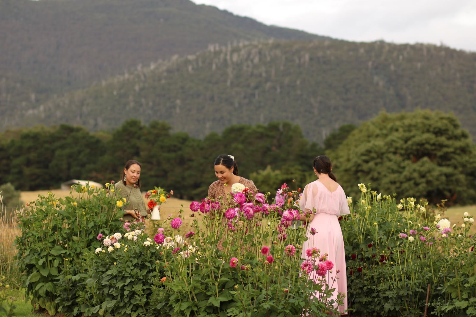 Photo by Nadirah Clark Photography